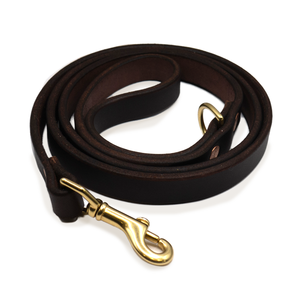 4 Dog Leash with Leather Handle