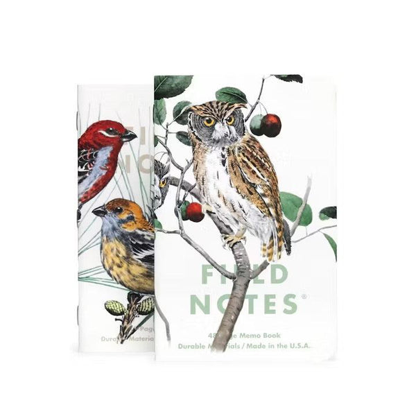 Birds of North America | 3-Pack